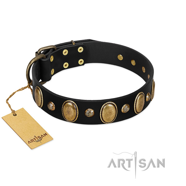 Natural leather dog collar of soft material with extraordinary studs