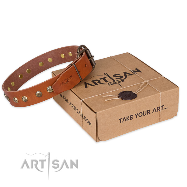 Strong fittings on full grain leather collar for your beautiful doggie