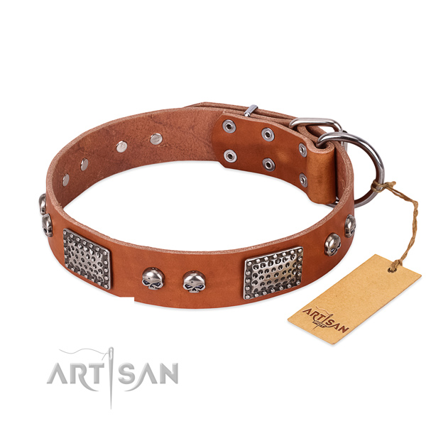 Easy to adjust full grain genuine leather dog collar for daily walking your canine