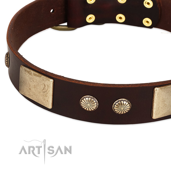 Rust resistant hardware on leather dog collar for your dog