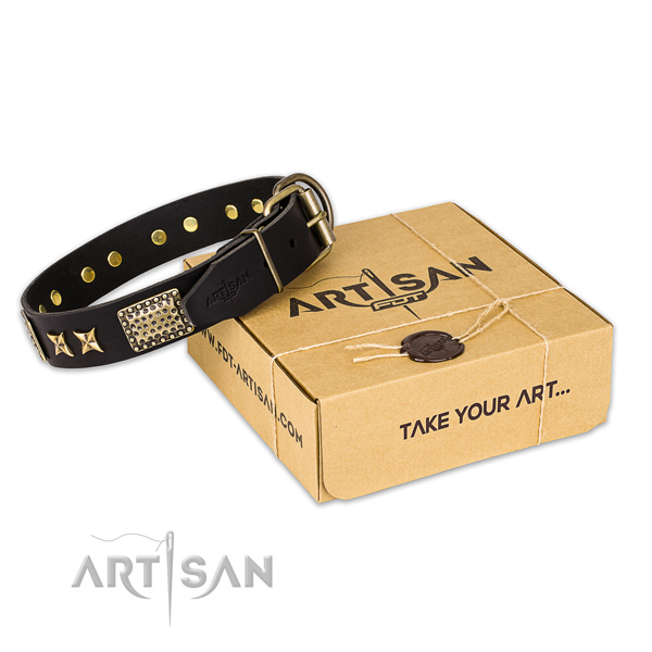 Corrosion resistant traditional buckle on full grain natural leather collar for your attractive doggie
