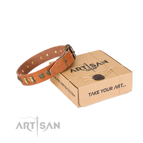 Durable adornments on natural leather dog collar for your dog