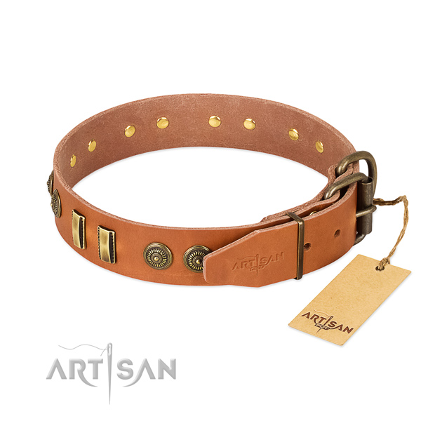 Corrosion resistant studs on natural leather dog collar for your four-legged friend