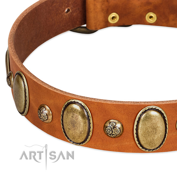 Natural leather dog collar with awesome embellishments