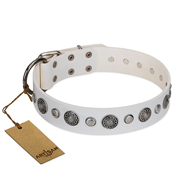"Fluff-Stuff Beauty" FDT Artisan White Leather English Bulldog Collar with Silver-like Studs and Conchos "Fluff-Stuff Beauty" FDT Artisan White Leather English Bulldog Collar with Silver-like Studs and Conchos