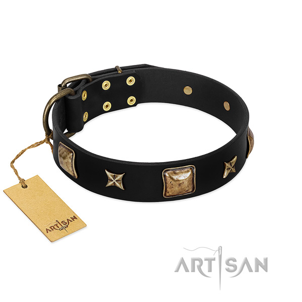 Full grain natural leather dog collar of high quality material with extraordinary embellishments