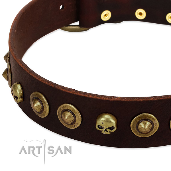 Fashionable decorations on genuine leather collar for your doggie
