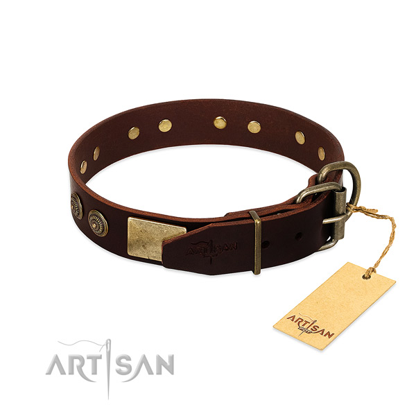 Corrosion resistant decorations on full grain leather dog collar for your four-legged friend
