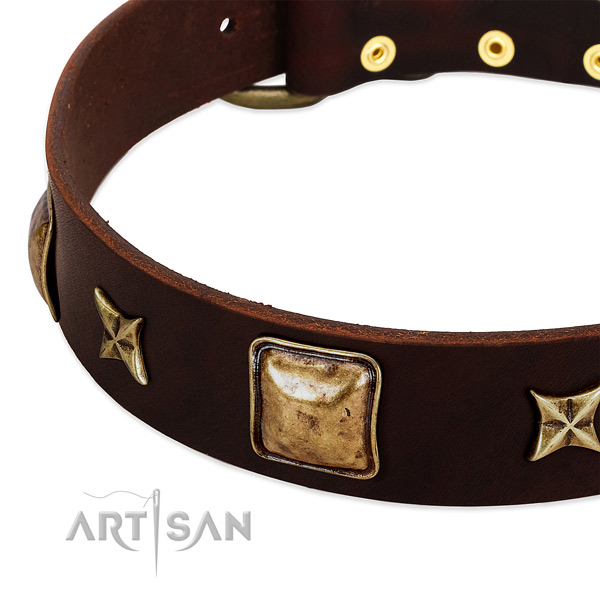 Corrosion resistant fittings on natural genuine leather dog collar for your four-legged friend