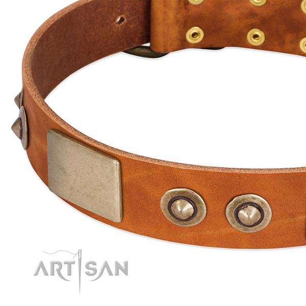 Strong adornments on full grain natural leather dog collar for your canine