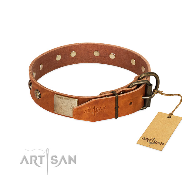 Rust resistant traditional buckle on daily walking dog collar