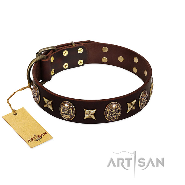 Exquisite leather collar for your dog