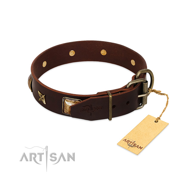 Leather dog collar with durable traditional buckle and adornments