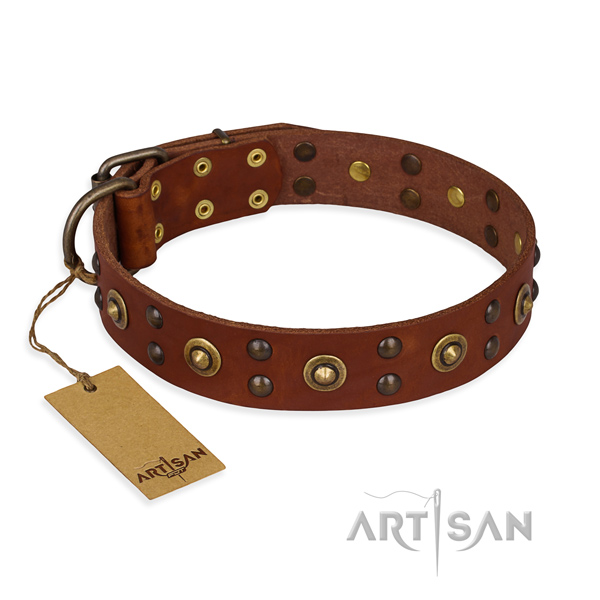 Amazing full grain leather dog collar with rust resistant fittings