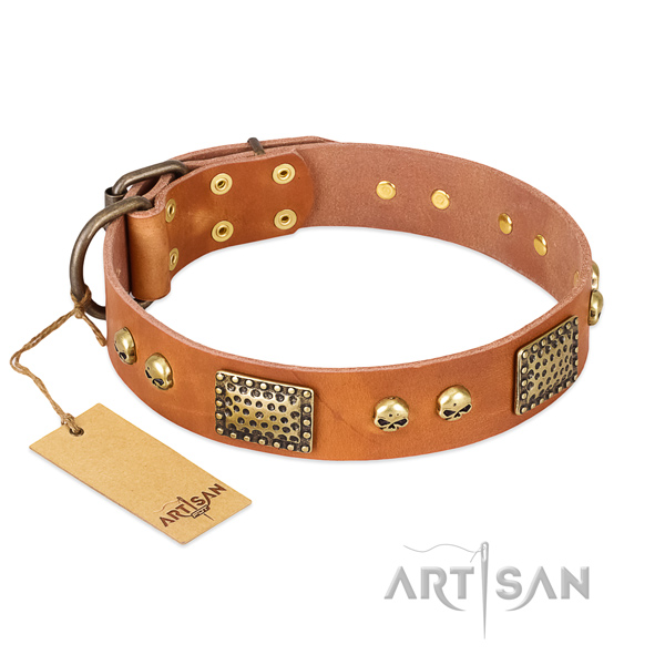 Easy adjustable natural leather dog collar for walking your pet