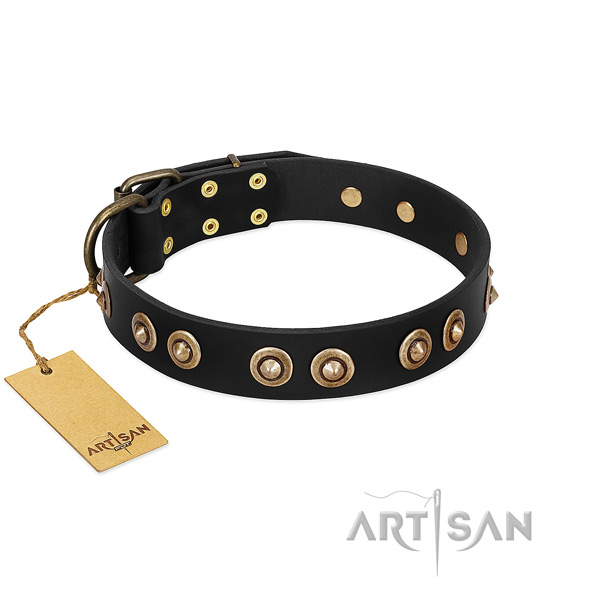 Rust-proof embellishments on natural genuine leather dog collar for your canine