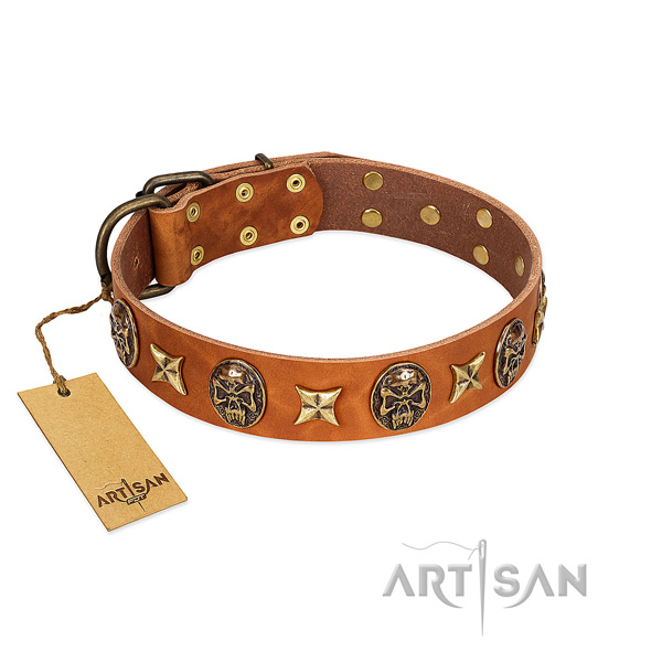 Fashionable genuine leather collar for your canine