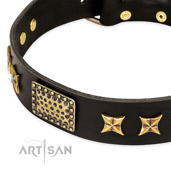 Natural genuine leather collar with rust resistant fittings for your lovely four-legged friend