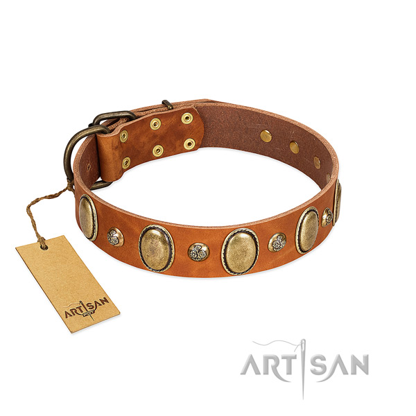 Natural leather dog collar of soft to touch material with inimitable adornments