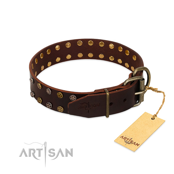 Daily use full grain leather dog collar with awesome embellishments