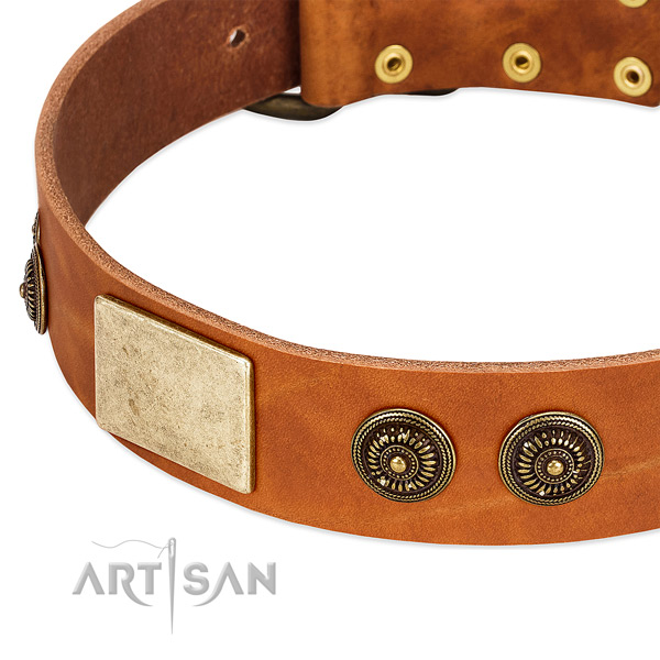 Stylish dog collar made for your beautiful pet