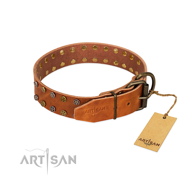Daily walking full grain natural leather dog collar with top notch adornments