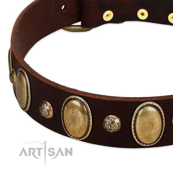 Leather dog collar with awesome studs