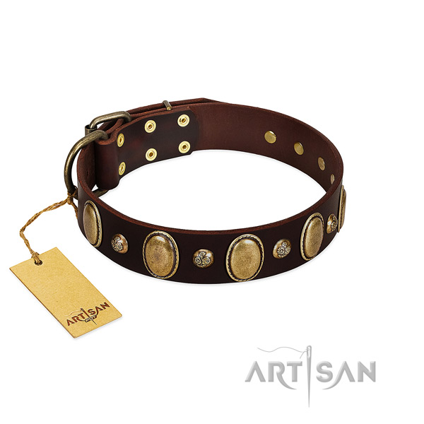 Genuine leather dog collar of high quality material with unusual embellishments