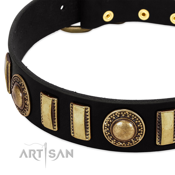 Top rate leather dog collar with strong traditional buckle