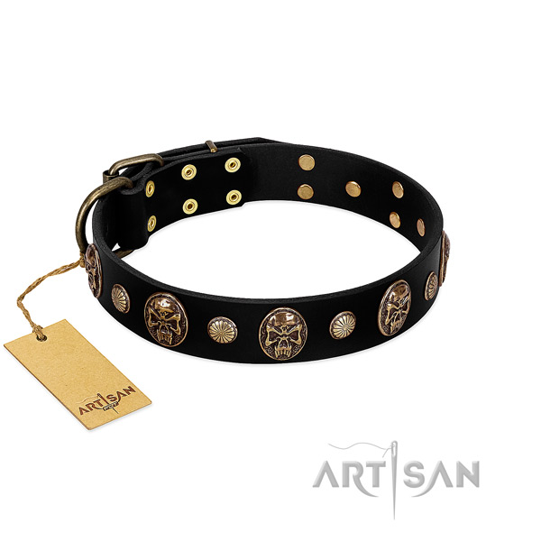 Natural leather dog collar with strong embellishments