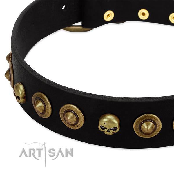 Genuine leather dog collar with extraordinary embellishments