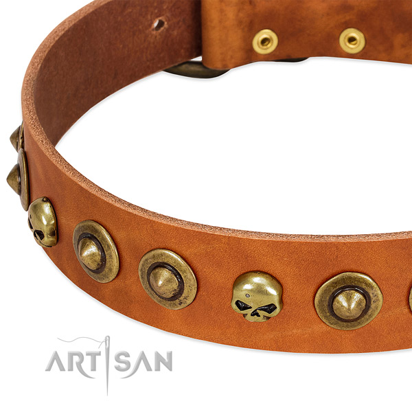 Top notch studs on leather collar for your canine
