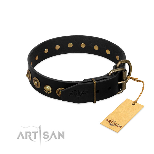 Full grain genuine leather collar with unusual studs for your four-legged friend