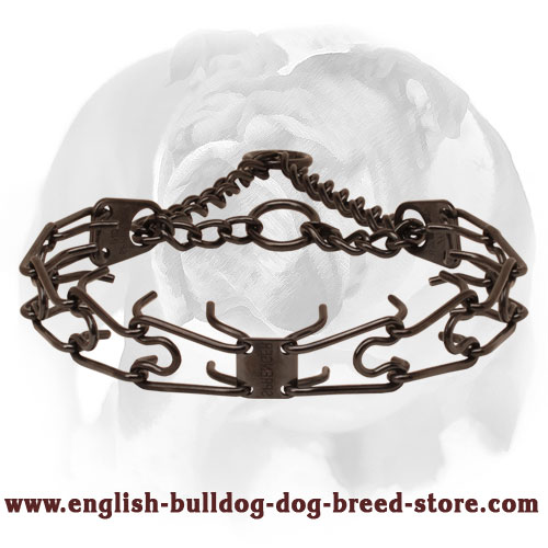 Pinch collar of rust resistant black stainless steel for badly behaved dogs