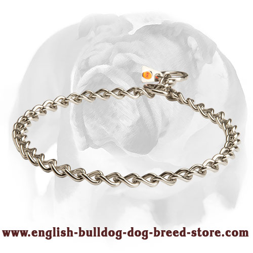 English bulldog best sale chain collars