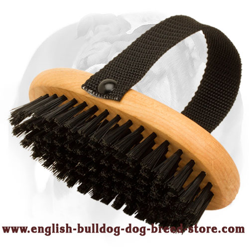 Brush for english bulldog sale