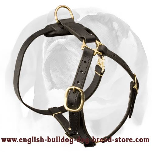 British Bulldog Leather Dog Collars - Fleece Dog Harnesses