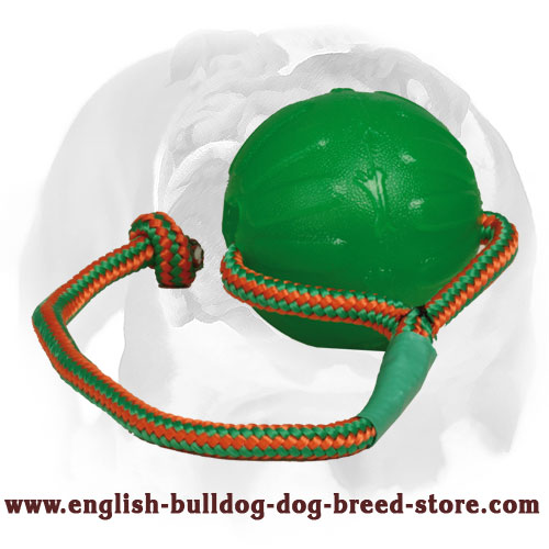 english bulldog chew toys