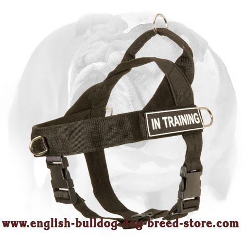 English Bulldog nylon dog collar with stylish practical id patches  [C48##1020 Nylon collar for training] : English Bulldog harness, English  Bulldog muzzle, English Bulldog collar, Dog leash