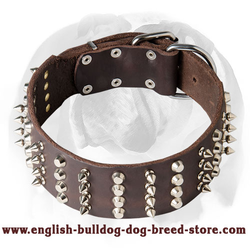 2in wide hotsell dog collar