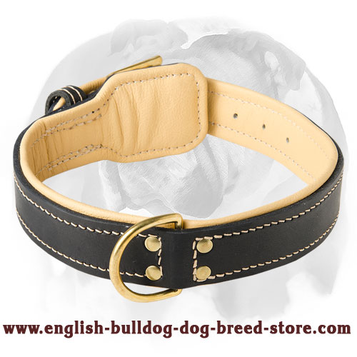 Leather 2024 bulldog collar